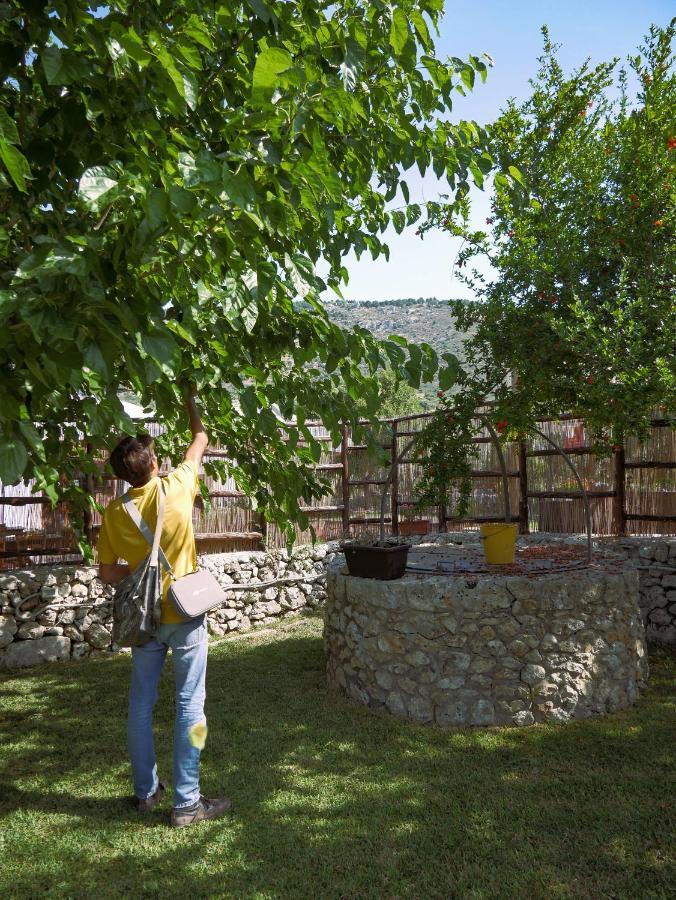 Villa Pantalica Ranch Agriturismo Siciliano Sortino Exterior foto